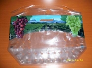 new style anticorrosion grape bag,cherry bag,fruit bag