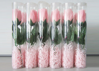 good quality clear plastic cylinder in environmentally material  for packaging flowers